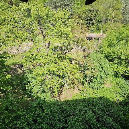 Appartement Malleval Chez Jeanne المظهر الخارجي الصورة